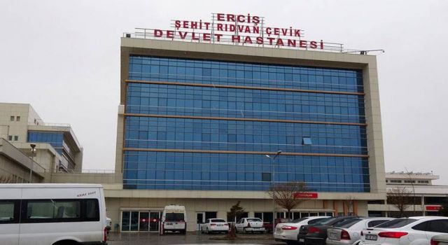 Van'da iki kardeş öldürüldü