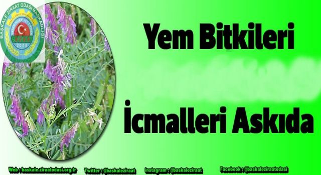 Yem Bitkileri Destekleme Listeleri askıya çıktı