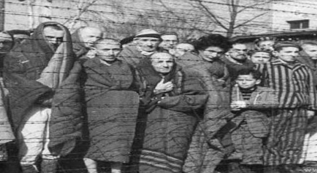 Zekeriya Ekinci yazdı: SOYKIRIM VE KİTAP