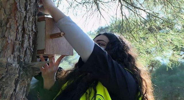 Duhok’ta çevreciler kuşlar için yuva yaptı
