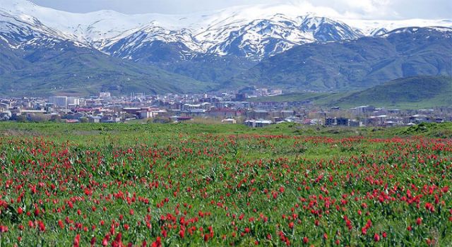 Hasan ÇAKMAK nivîsî: KARWAN (9)
