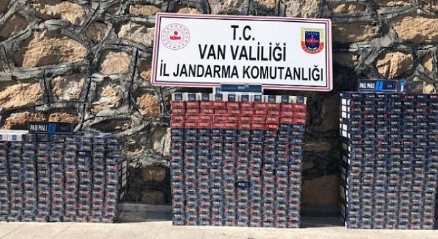 Van, Şırnak ve Hakkari'de 5 kişi gözaltına alındı