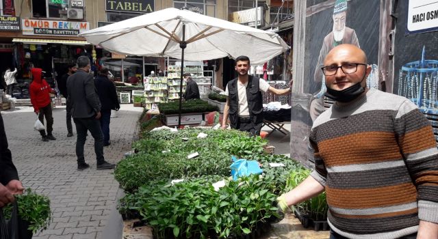 Bostan ekim işi başladı, hazır fidelere rağbet arttı