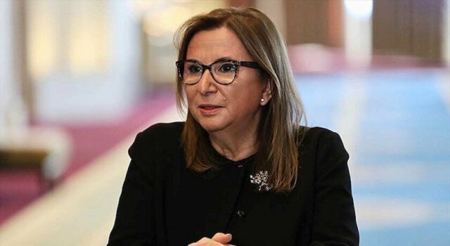 Eski Ticaret Bakanı Ruhsar Pekcan’ın şirketine 1.4 milyon TL devlet desteği verilmiş