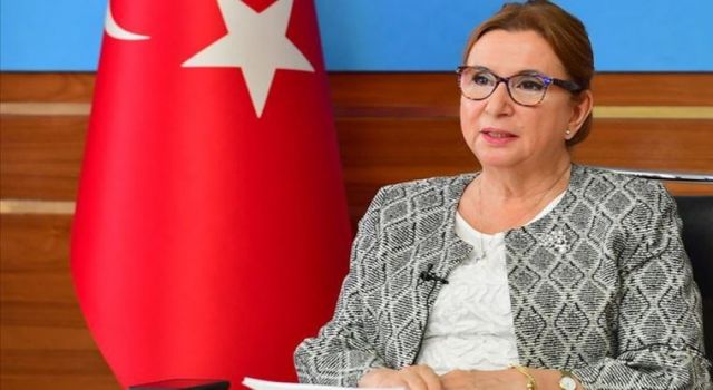 Ticaret Bakanı Ruhsar Pekcan'ın görevine son verildi