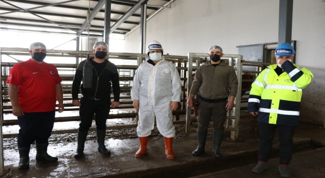 Kocaeli’de Kurban Bayramı öncesi sertifikalı eğitim