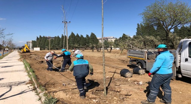 Manisa’da fidan seferberliği
