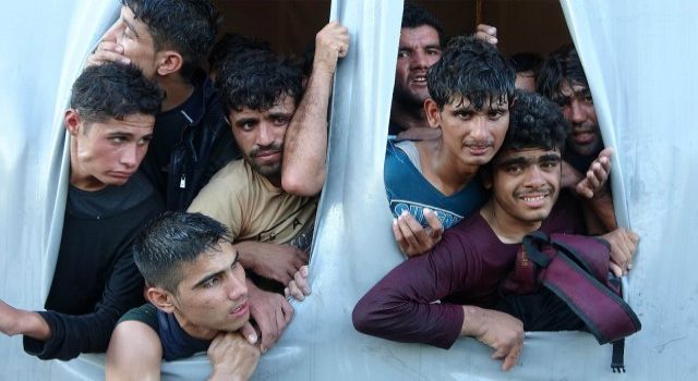 TIR'dan 218 mülteci çıktı