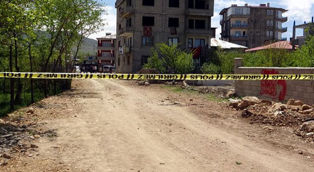 Van'da yanmış ceset bulundu