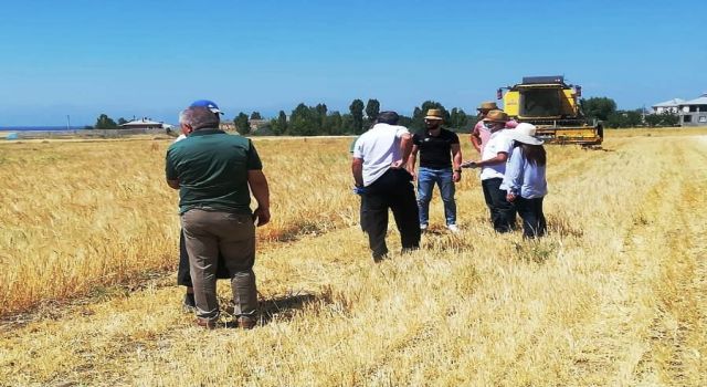 Hasatla birlikte tarlada denetimler de başladı