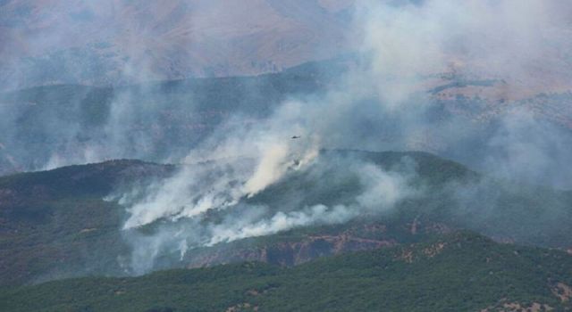 Orman Genel Müdürlüğü: Tunceli'nin Hozat ilçesindeki orman yangını kontrol altına alındı