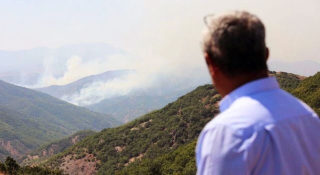 Tunceli Belediye Başkanı Maçoğlu: Yangına gerekli müdahale yapılmıyor