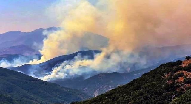 Tunceli'deki orman yangınında son durum; yayılarak devam ediyor