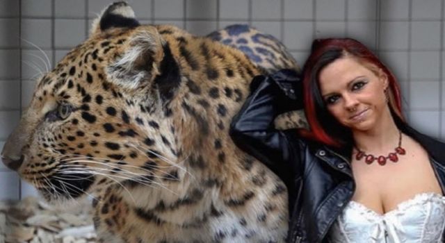 Ünlü model Jessica Leidolph leopar saldırısına uğradı