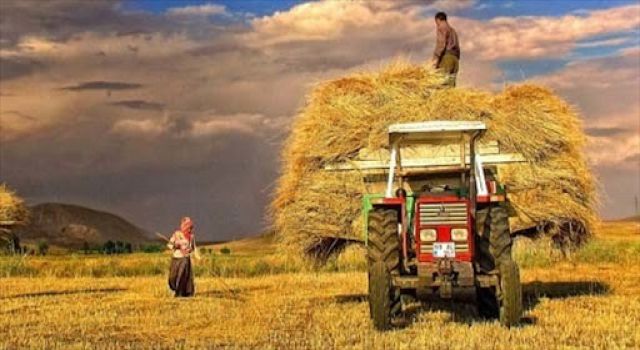Van’daki Ziraat Odalarından, ÇKS’ye başvuru çağrısı