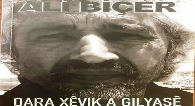Ali Biçer yazdı: ŞİMDİ BU KİTABI KİM ALIR?