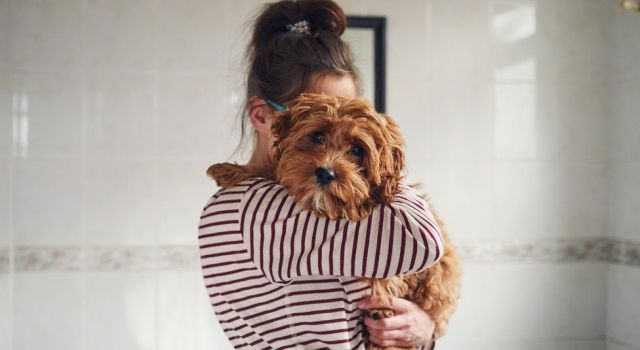 İspanya'da mahkeme, ayrılan çiftin köpeklerinin ortak velayetini almasına karar verdi