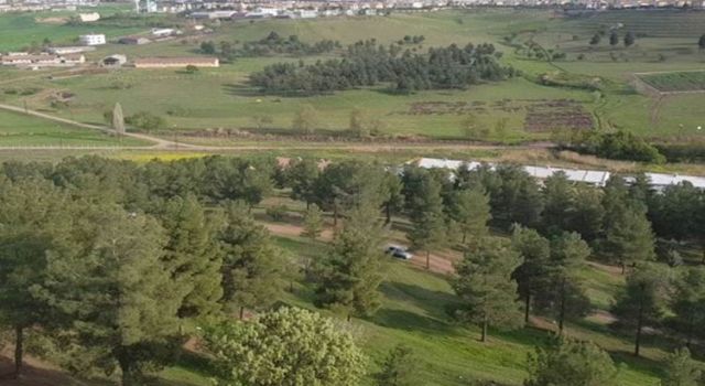 Diyarbakır'da "Devlet Bahçeli Hatıra Ormanı" kurulacak