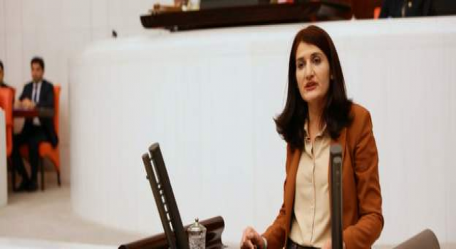 HDP'li vekil Güzel hakkındaki fezleke, Cumhurbaşkanlığına gönderildi