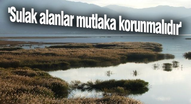 Van'da aktivistler, sulak alanlara dikkat çekti