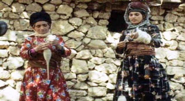 Bahoz Şavata yazdı: Canbeg ve Drejan Aşiretlerine Dair ..