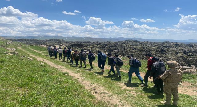 Van'da 1 kişi tutuklandı