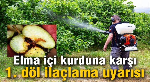 Elma içi kurduna karşı 1. döl ilaçlama uyarısı