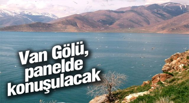 Van Gölü, panelde konuşulacak