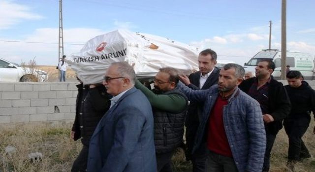 VAAD: Sokak köpekleri yerel idarenin sorumluluğundadır