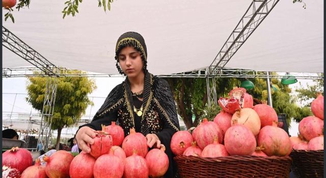 'Halepçe Nar ve Sonbahar Festivali' başladı