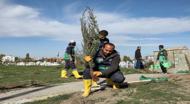 Van'da mezarlıklar ağaçlandırılıyor