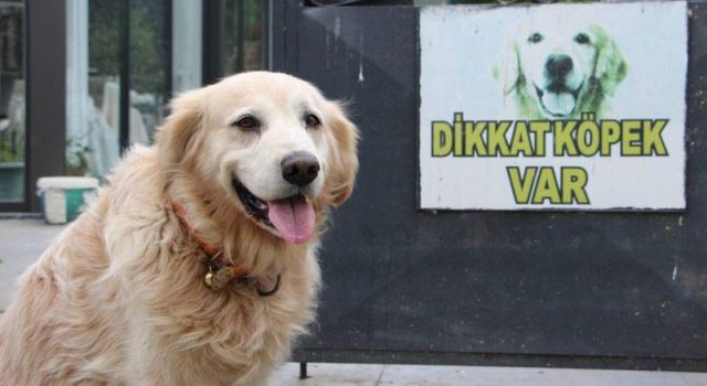 Havlamanın cezası 315 bin lira