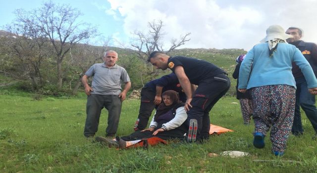 Pancar toplamaya giden 60 yaşındaki kadın canından oluyordu