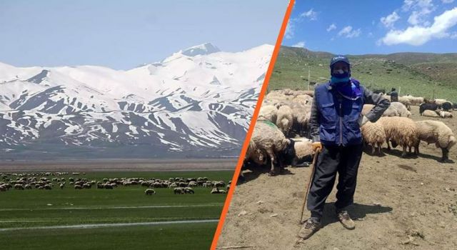 Yüksekova'da 5 çoban sınır dışı edildi
