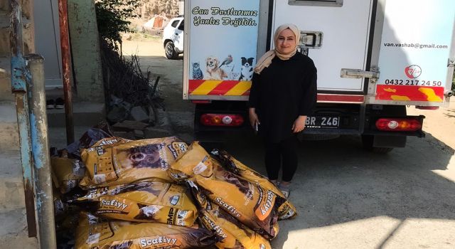 Şemdinli'deki sokak hayvanlarına mama desteği