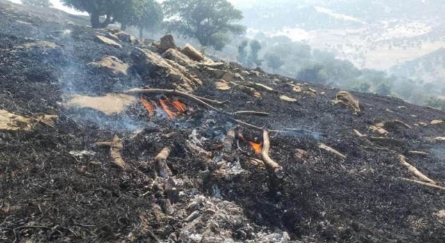 Süleymaniye'de İHA boş köyü bombaladı, yangın çıktı