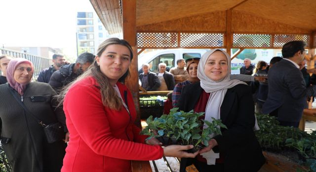 Tuşba Belediyesi, ilçe sakinlerine sebze fidesi sağlıyor