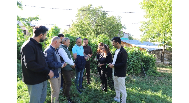 Gevaş Fasulyesi, 2025 yılı denetimlerinden başarıyla geçti