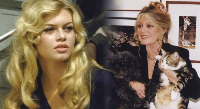 Fransız sinemasının efsanelerinden Brigitte Bardot hayatını kaybetti!