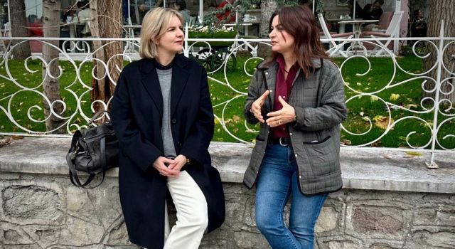 Koçyiğit: Öcalan'ın söylemek istedikleri "özet"te yok!