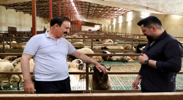 Van Ticaret Borsası Başkanı Süer: "Van'da et borsası kurulmalı"