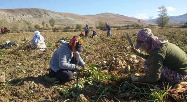 Gülderen Varli’den çiftçilerin sorunları için 16 soru