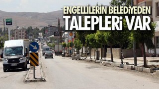 Vanlı engelliler çözüm bekliyor