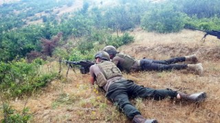 Bitliste’ki çatışmada ölen Turuncu ve Gri kategoride yer alan 2 PKK mensubunun kimlikleri açıklandı