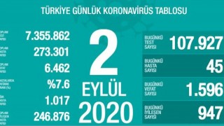 Türkiye'de Koronavirüs nedeniyle 45 kişi daha hayatını kaybetti