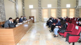 Belediye Meclisi, ağaç kesimini yasakladı