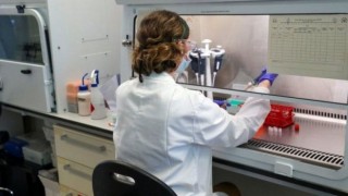 İngiltere, Oxford-AstraZeneca aşısına onay verdi