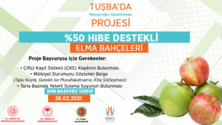Elma bahçelerine DAP ve DAKA’dan %50 hibe desteği verilecek