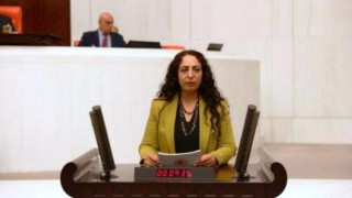 Yerli bebek maması üretimi için kanun teklifi verildi