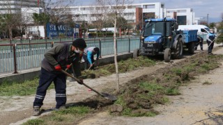 Manisa’da yoğun peyzaj çalışması